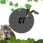 Capython Official Group!
