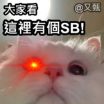 MEOW喵