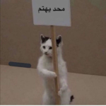 MEME _g_jana