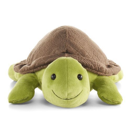 turtle home :D