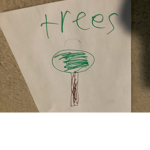 church of trees