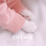 evphoria