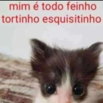 Allocca