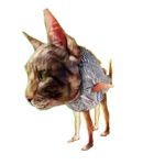 Trulimero Trulichina