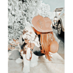 The suniestime