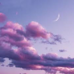 -N i g h t f a l l-
