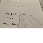 SaveTheGroundhogs