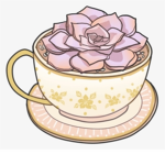 Rosita Café