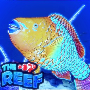 🌈🐠 UPDATE | 🐬THE REEF🦈 - Shark, Fish, Dolphin 