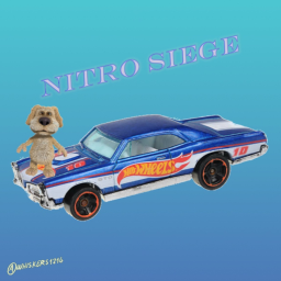 [👑] Nitro Siege
