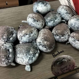 glubberfish