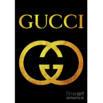 IT LION group
