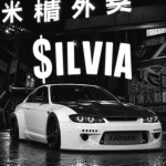 $ilvia
