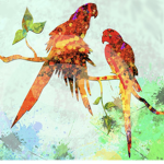 #BirdParadise