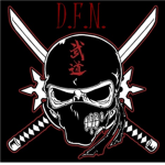 dark fire ninjas