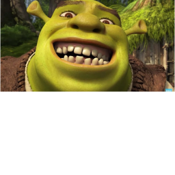 Runn from shreks
