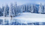 Winter gamers