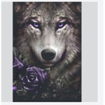 La team loup Fr