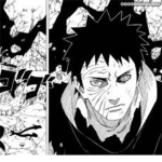 Shinobi Unleashed!