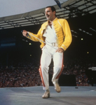 Freddie Mercury fan club let’s go