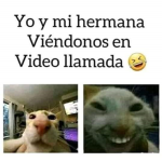 El grupo de los cachiguachos