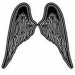 The Dark Wing