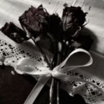 Shuki's Roses
