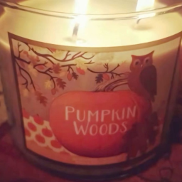 🍂⋆.˚