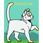DUCKCLAN staff applications.