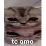 Bimbo R ๑