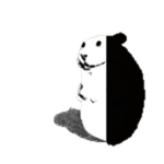 Yin Yang Chomik