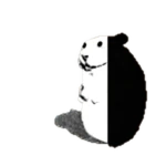 Yin Yang Chomik