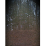 Paranormal Activity hunters