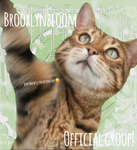 Brooxlynbloom Official Group!
