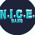 the nice gang/ anti roblox bullys