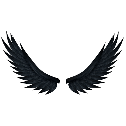 Black Raven Wings