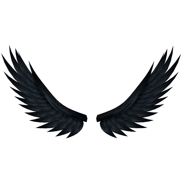 Black Raven Wings