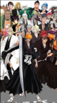 .Bleach verse