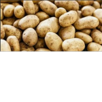 PotatoGamers Group