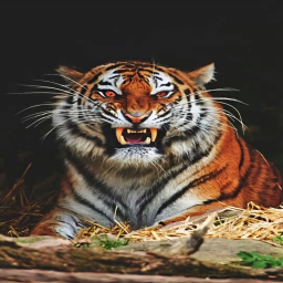 𝑰𝒔