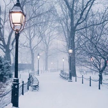 𝐊𝐢𝐲𝐨𝐦𝐢 𝐒𝐒𝟒 ♥