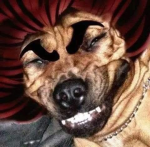 ClanKev