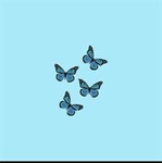 Itzsierra roblox group