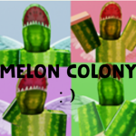 Melon Colony
