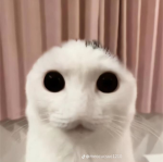 It’s OK to be you
