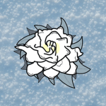 The Collegiate