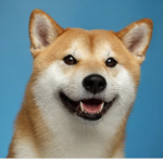 Epic Doge’s!
