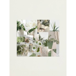 Sunflower _ Rosies