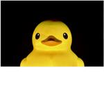 Duck clan party