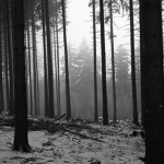 Sorcerised